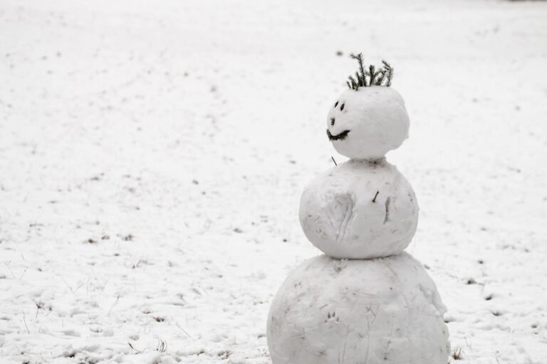Parson Brown: The Unsung Hero of Winter Wonderland.