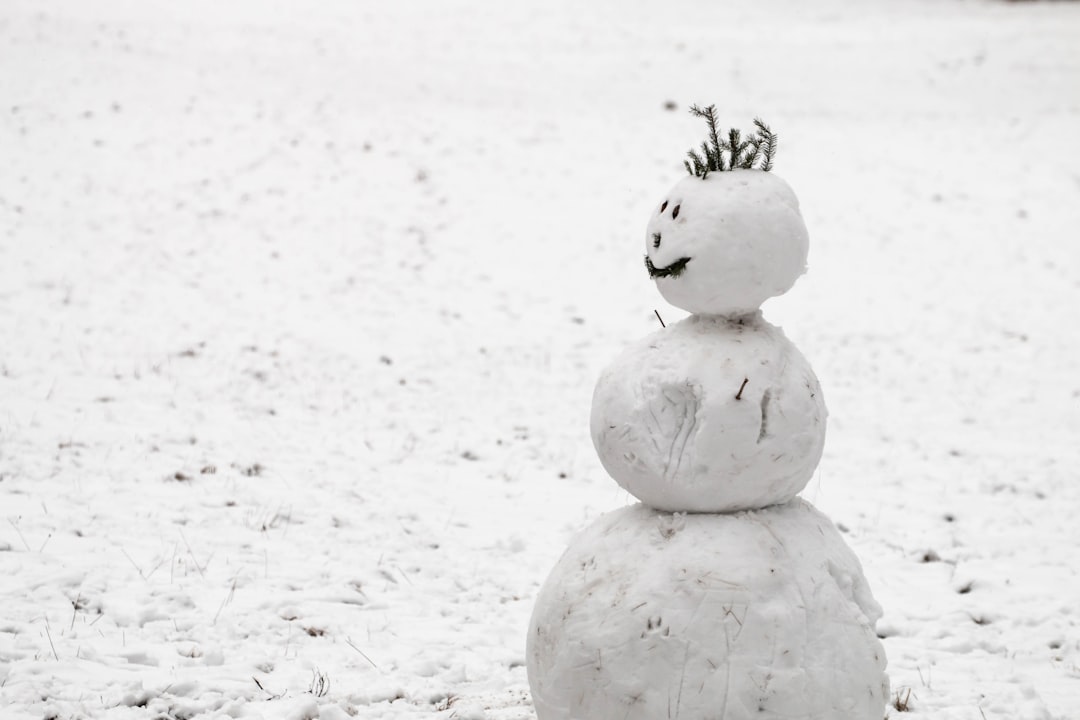 Parson Brown: The Unsung Hero of Winter Wonderland.